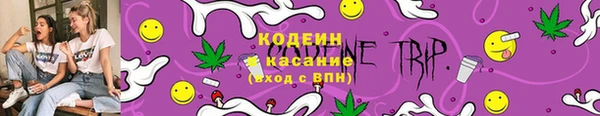 ГАЛЛЮЦИНОГЕННЫЕ ГРИБЫ Верхний Тагил