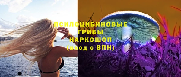 ГАЛЛЮЦИНОГЕННЫЕ ГРИБЫ Верхний Тагил
