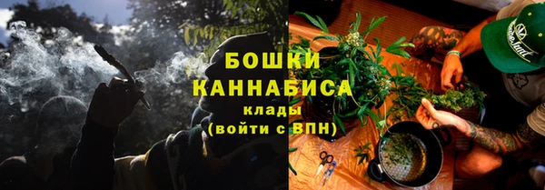ГАЛЛЮЦИНОГЕННЫЕ ГРИБЫ Верхний Тагил